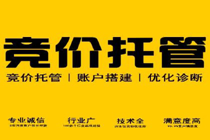 竞价推广策略解析：实战案例分析